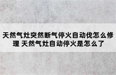 天然气灶突然断气停火自动伐怎么修理 天然气灶自动停火是怎么了